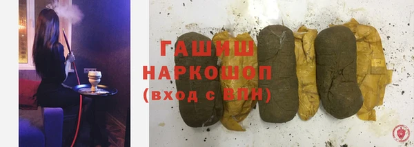 spice Богородицк