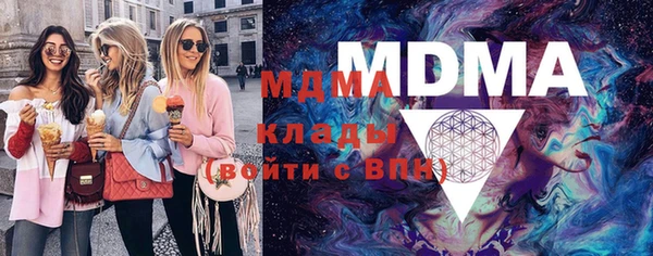 spice Богородицк