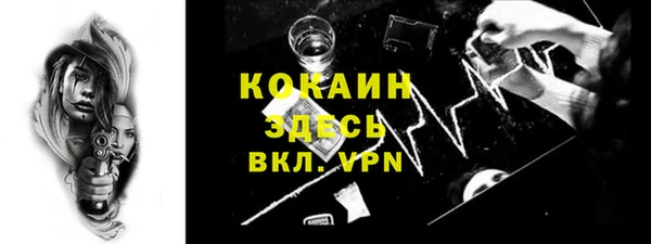 spice Богородицк