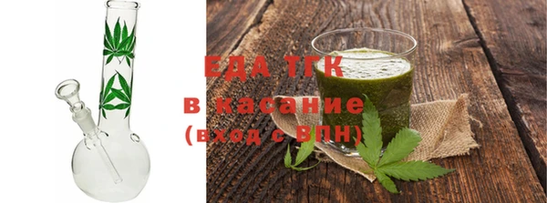 spice Богородицк